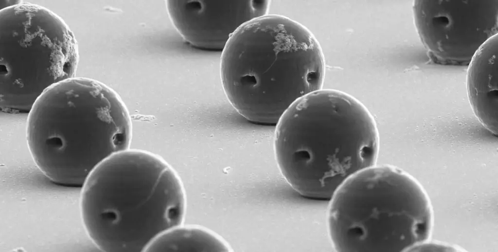 Electron microscope image of spherical hydrogel microbots with small openings in their surfaces.
