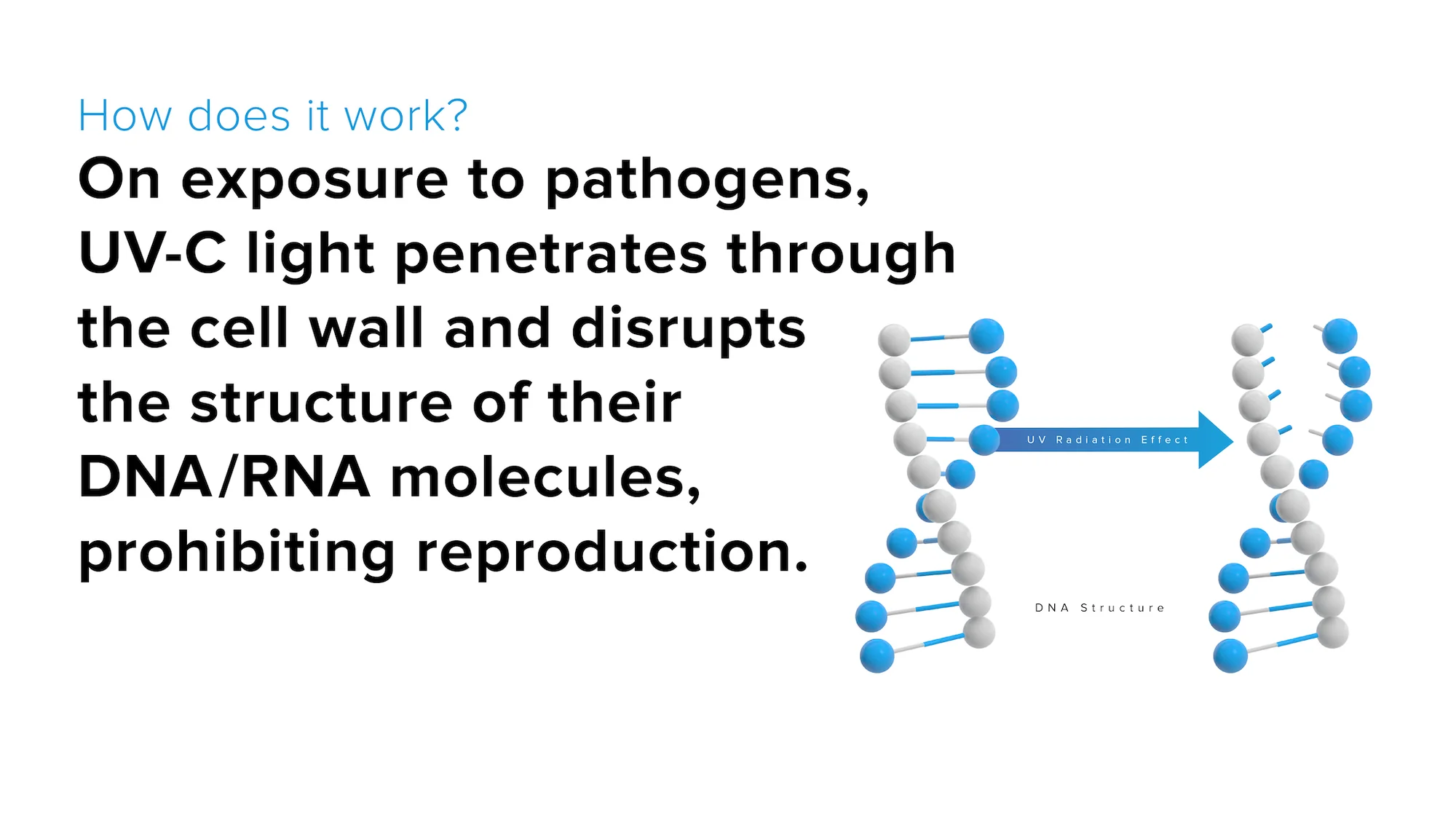 Diagram illustrating UV-C disruption of DNA or RNA structure, preventing reproduction.