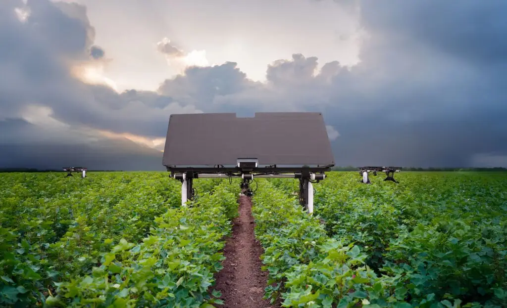 Aigen Element robot with a broad solar panel straddling rows of crops in a field.