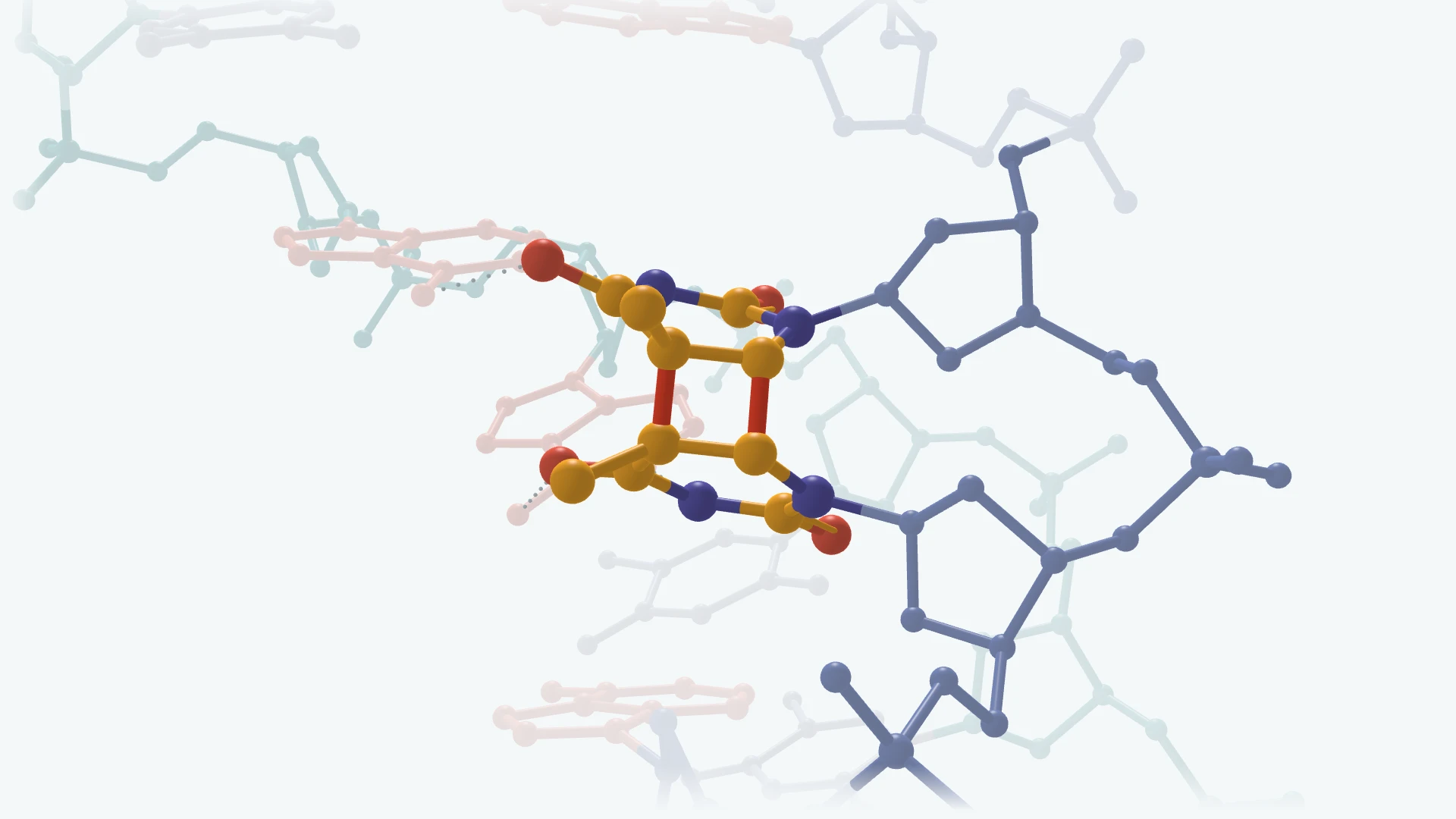 Molecular view of two neighboring thymine bases on the same DNA strand. Two new covalent bonds form a cyclobutane ring; the backbone and complementary strand remain visible.